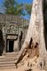Cambodia: Eastern entrance to Ta Prohm, Angkor